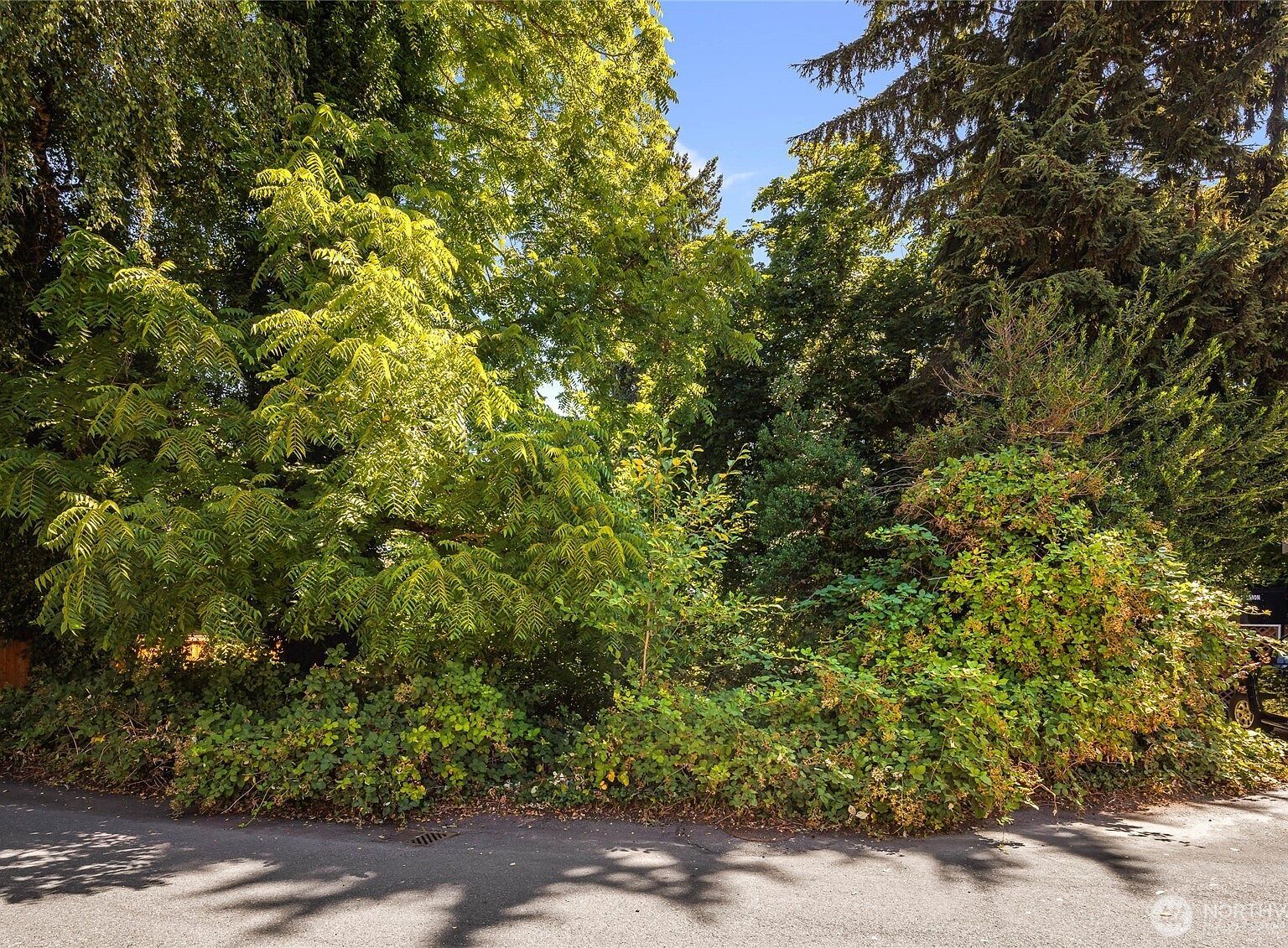 315 Lind Ave SW Renton, WA 98057  | Land/Lot