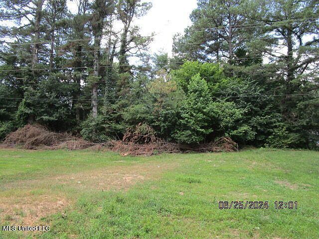 Stage Rd Coldwater, MS 38618 - Thumbnail 4