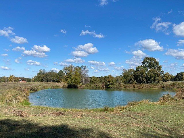 6183 Yellowdog Rd Senatobia, MS 38668 - Thumbnail 4