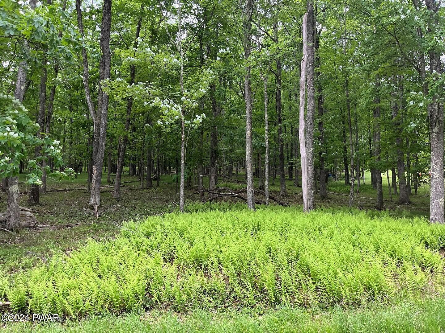 Deer Run Rd, Lakeville, PA, 18438 - Thumbnail 4