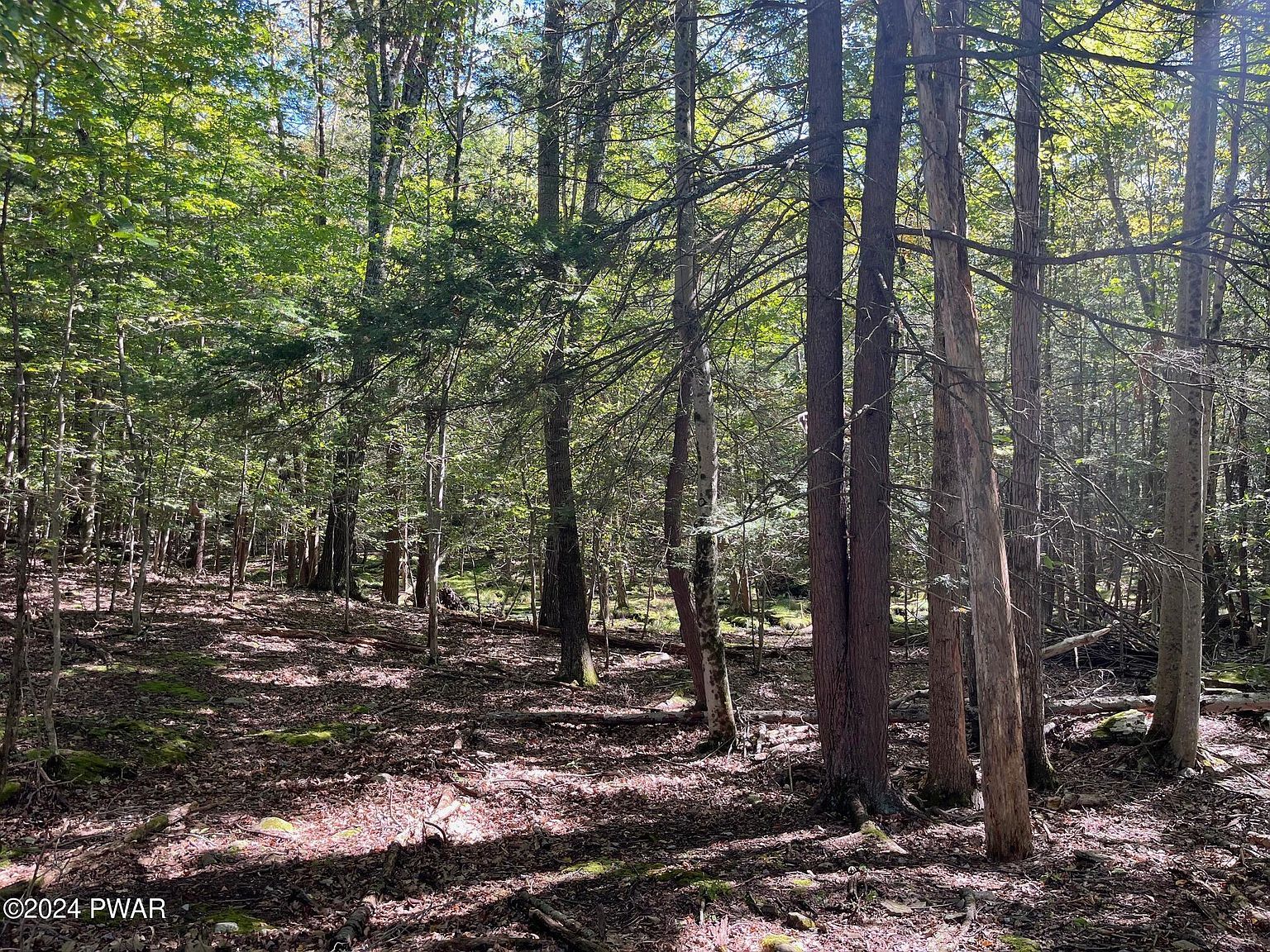 LOT 756 Fawn Rd Hawley, PA 18428 - Thumbnail 4