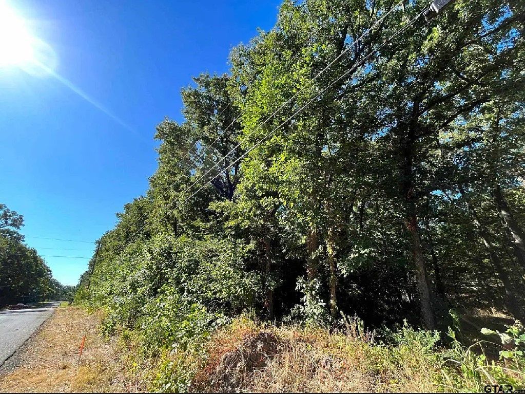 104 Red Bluff Loop Mabank, TX 75156 - Thumbnail 4