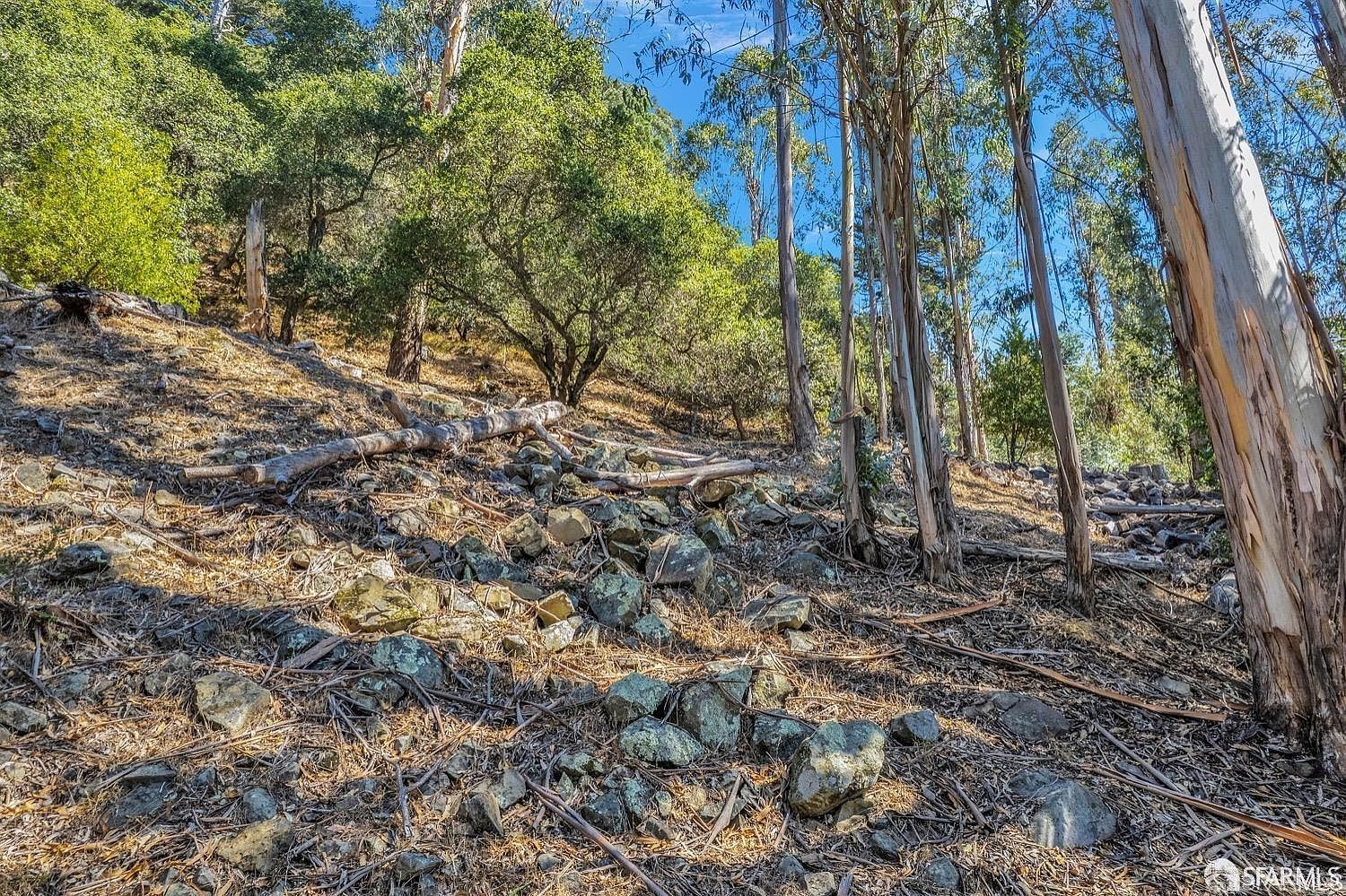 0 Ascot Dr Oakland, CA 94611 - Thumbnail 4