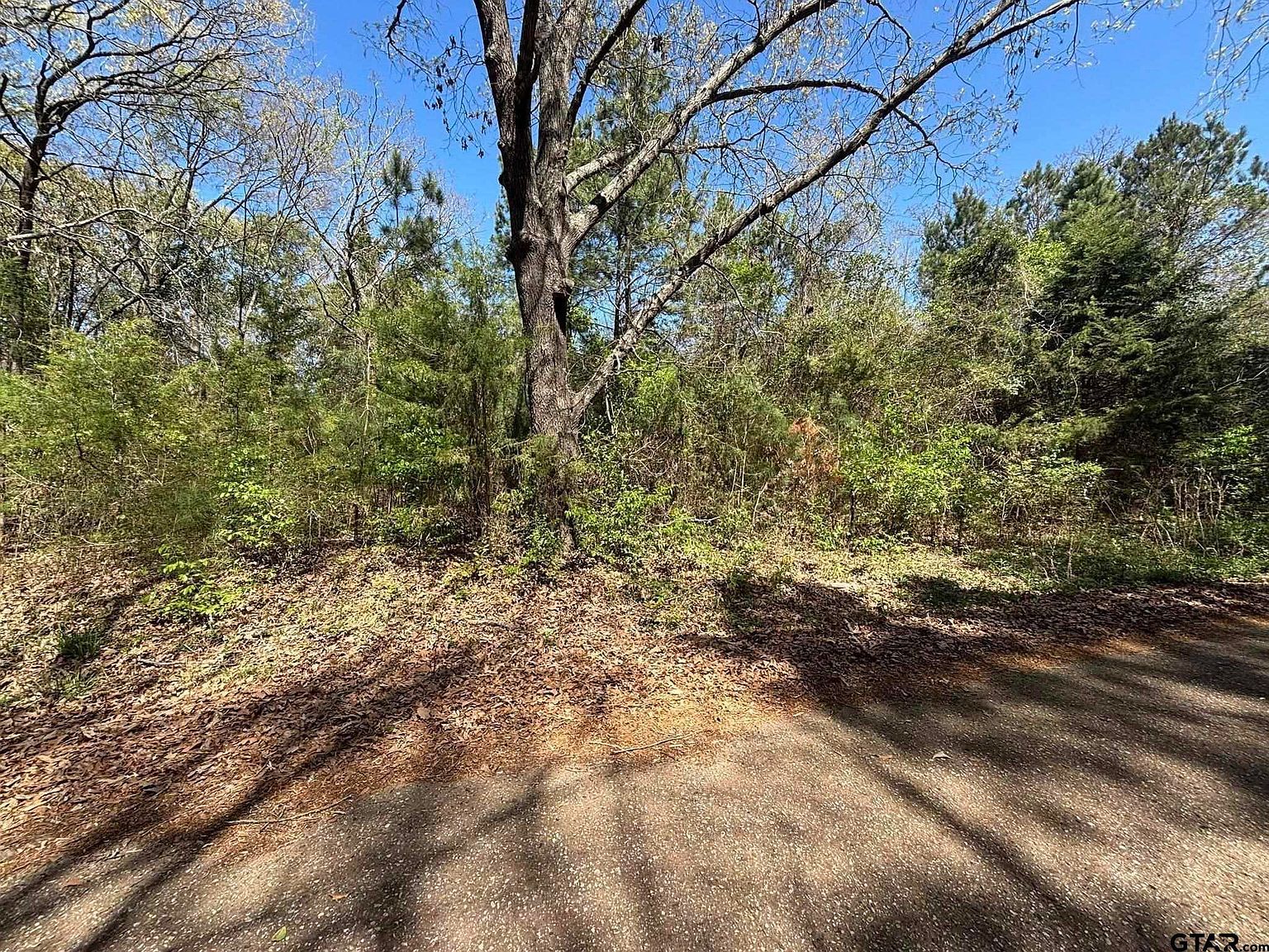 0 County Road 341 Tyler, TX 75706 - Thumbnail 4