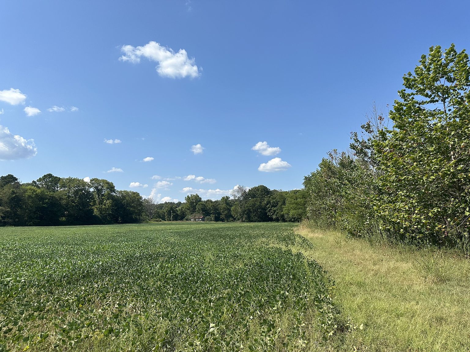 15608 South Rd Cadiz, KY 42211 - Thumbnail 4