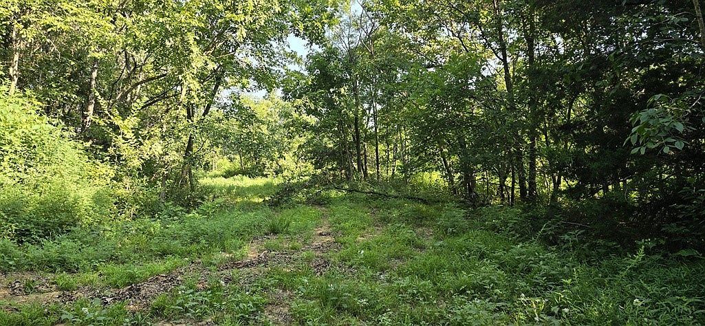 0 Nc #6277 Jasper, AR 72641 - Thumbnail 4