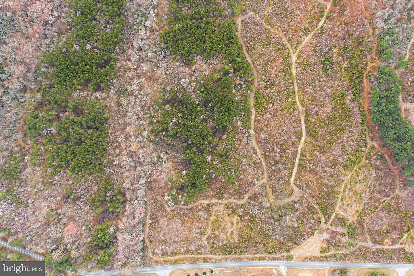 5190 Dickerson Rd Partlow, VA 22534 - Thumbnail 4