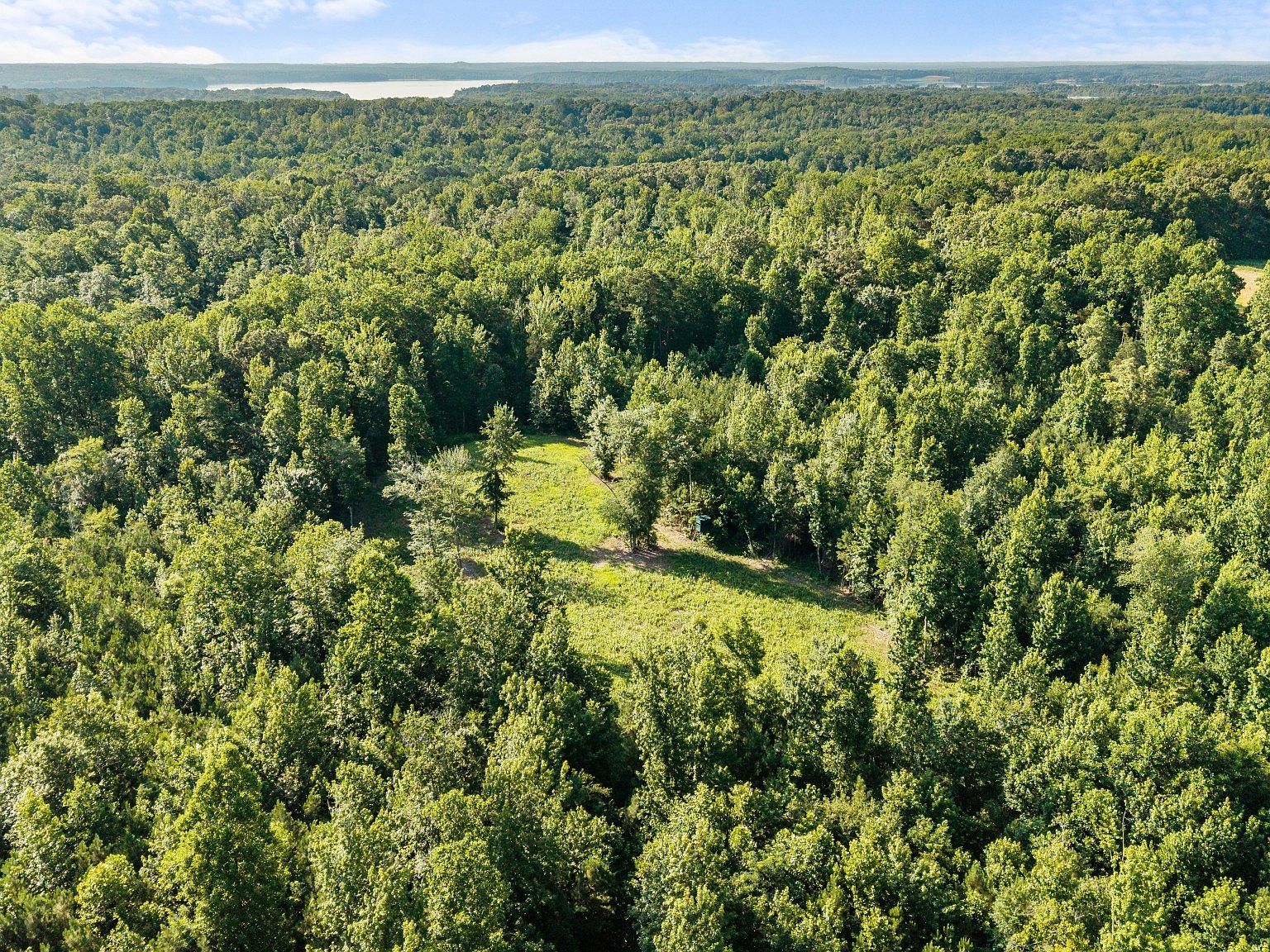 0 Hamilton Rd Springville, TN 38256 - Thumbnail 4