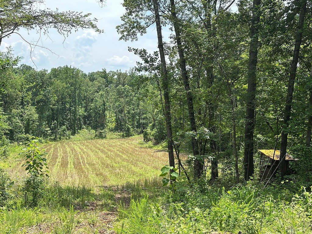 0 Hamilton Rd #1 Springville, TN 38256 - Thumbnail 4