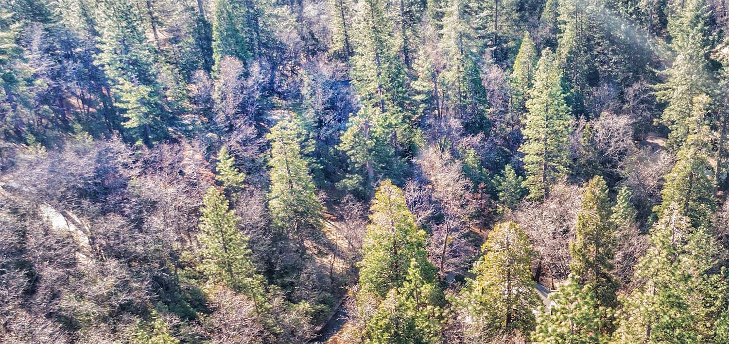 24184 Awahanee Rd Sonora, CA 95370 - Thumbnail 4