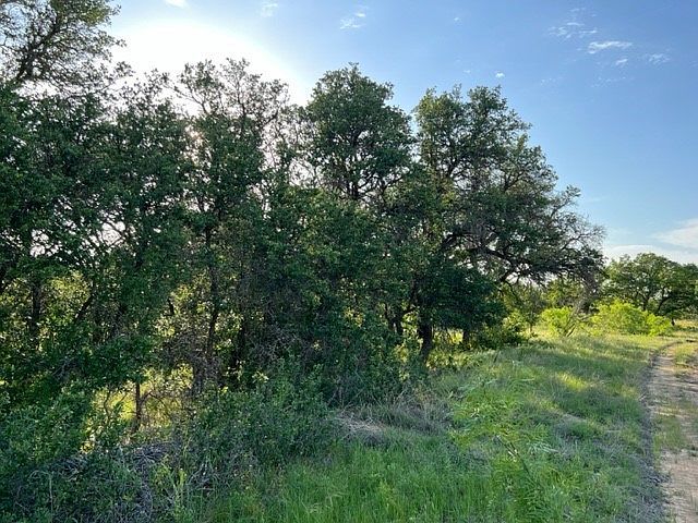 LOT 917 Safe Harbor Dr Brownwood, TX 76801 - Thumbnail 4