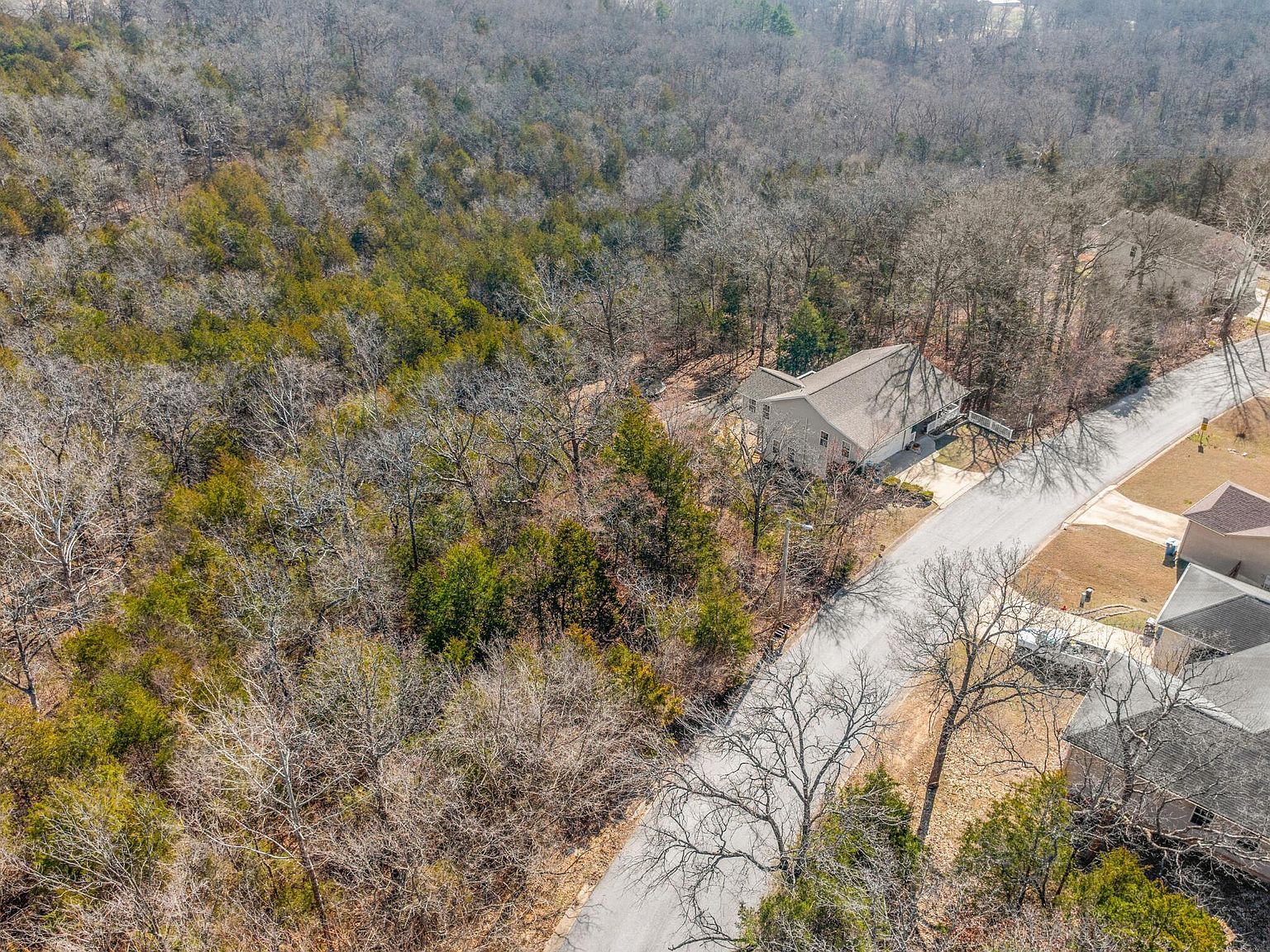 Lots 62 & 63 Eagle Dr Forsyth, MO 65653 - Thumbnail 4