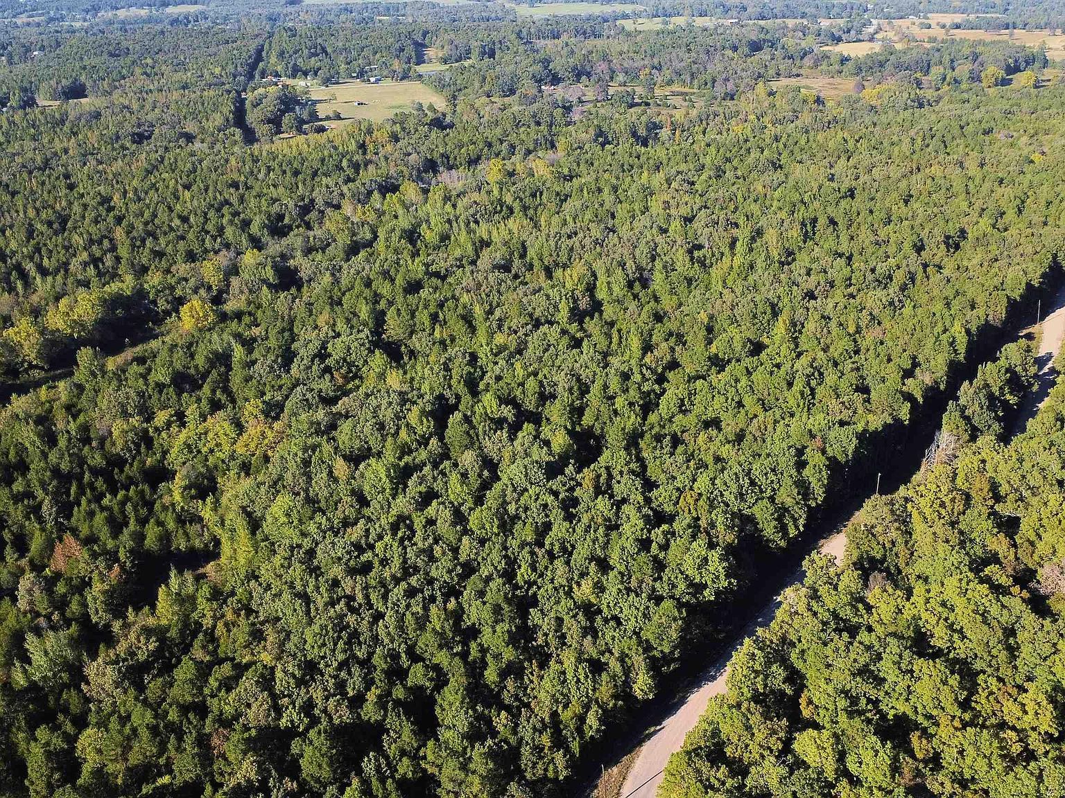 51 Shelton Rd S Bee Branch, AR 72013 - Thumbnail 4