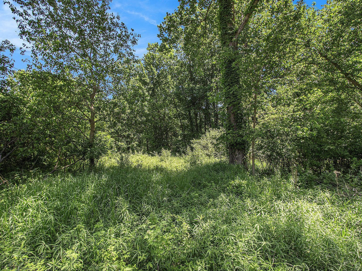 48681 Valley Ct Paw Paw, MI 49079 - Thumbnail 4