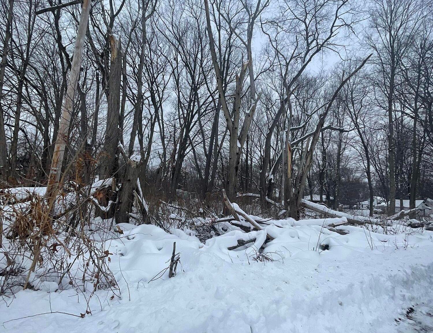 V/l 13th And Cypress Ct Three Rivers, MI 49093 - Thumbnail 4