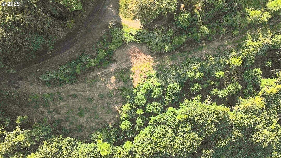 (undisclosed Address) Rainier, OR 97048 - Thumbnail 4