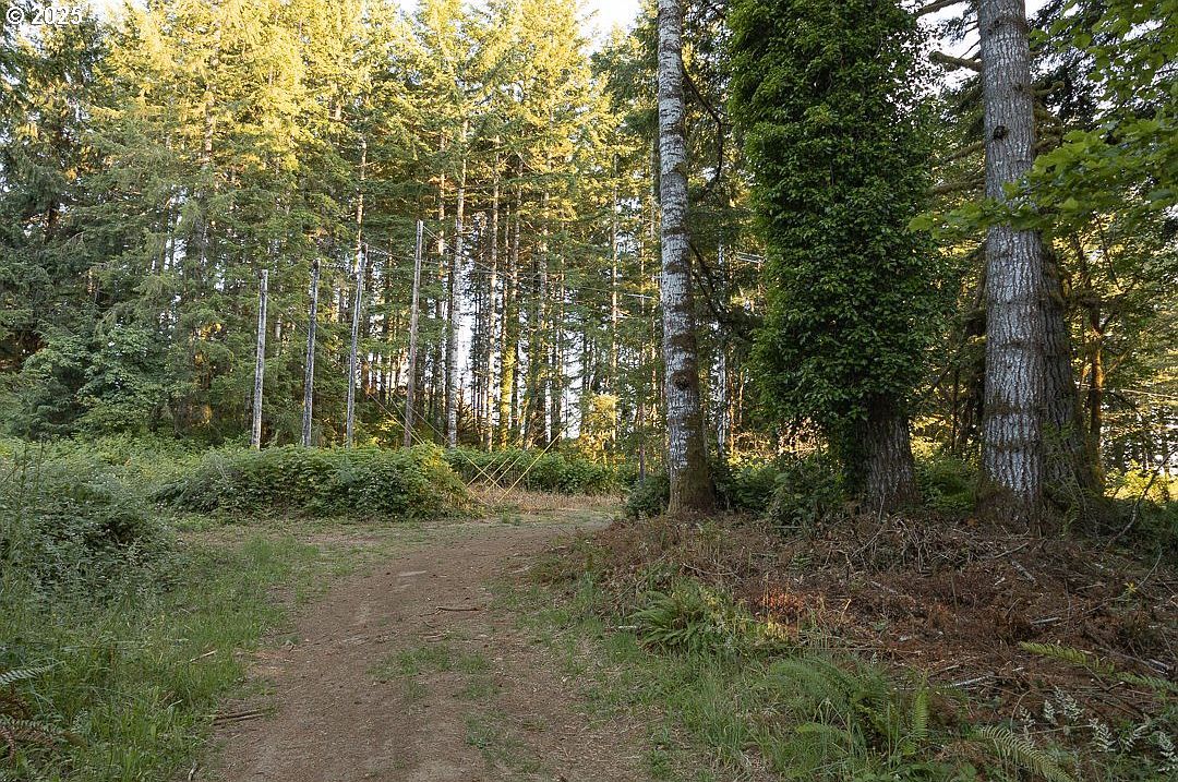 Elk City Rd Toledo, OR 97391 - Thumbnail 4