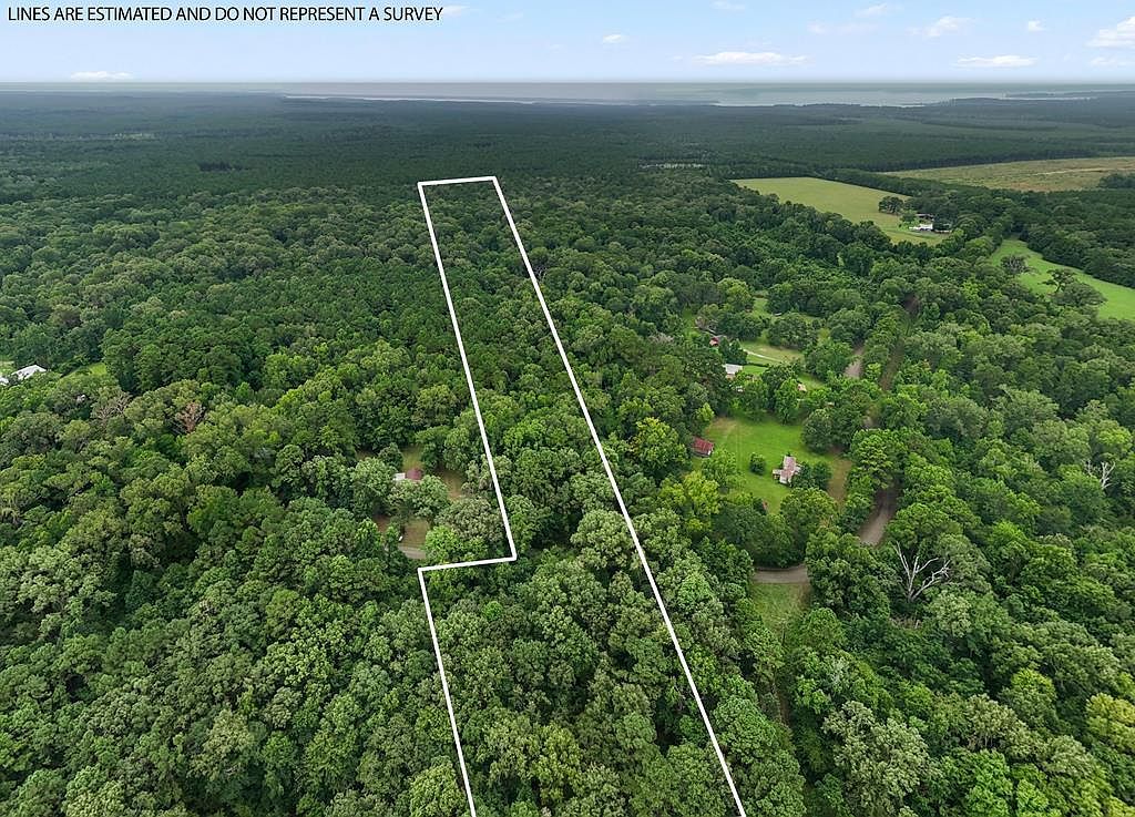 10625 County Road 476 Broaddus, TX 75929 - Thumbnail 4