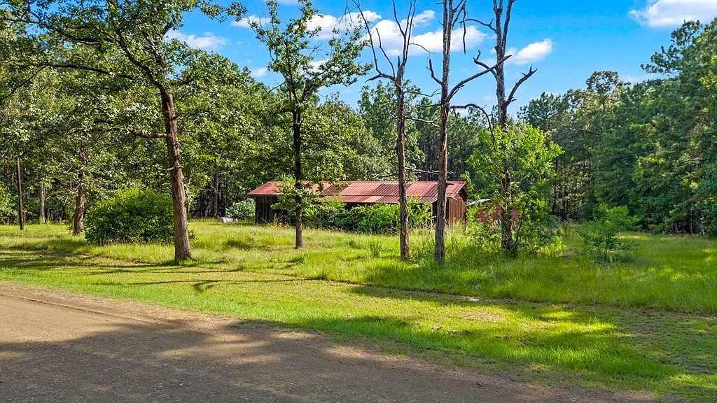 288 County Road 469 Broaddus, TX 75929 - Thumbnail 4