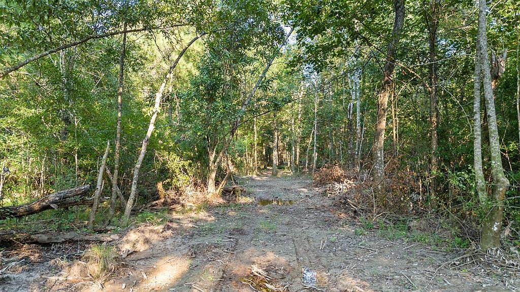 Fm 2626 Bon Wier, TX 75928 - Thumbnail 4