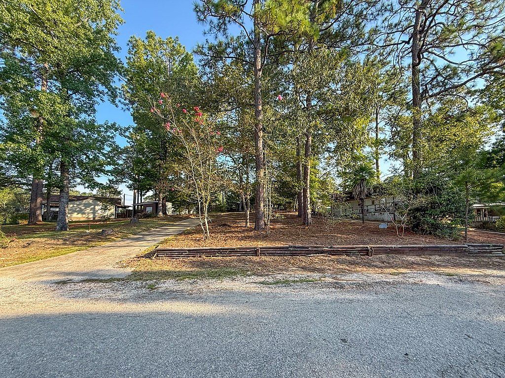 203 Wildbriar Dr Jasper, TX 75951 - Thumbnail 4