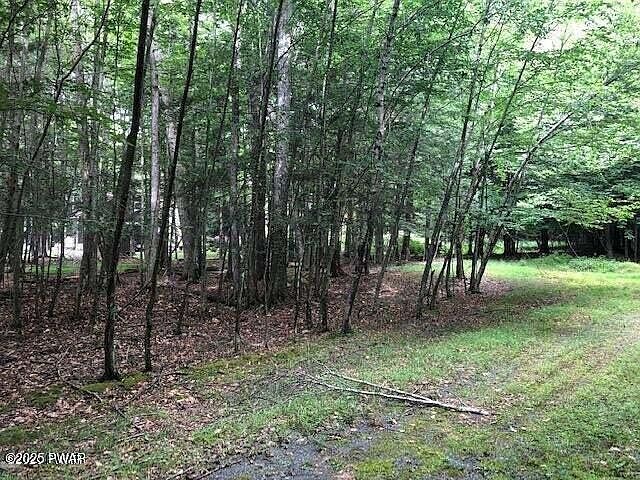 41 Tomahawk Rd Lake Ariel, PA 18436 - Thumbnail 4