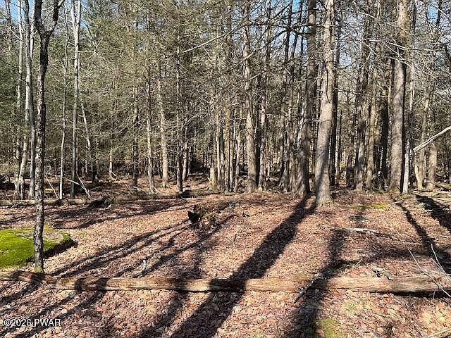 Hurd And Parks Rd Swan Lake, NY 12783 - Thumbnail 4