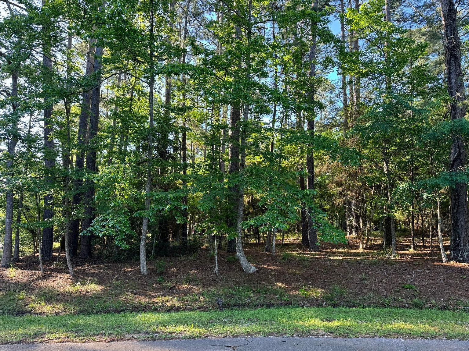 123 S Royale Greens Dr Coldspring, TX 77331 - Thumbnail 4