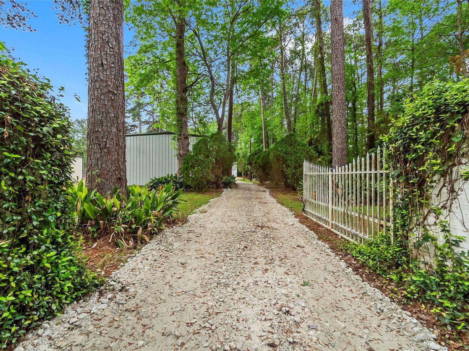 200 Johnson Rd Coldspring, TX 77331 - Thumbnail 4