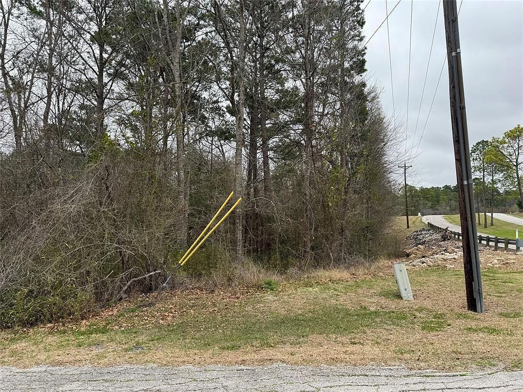 2 Clearwater Cir Coldspring, TX 77331 - Thumbnail 4