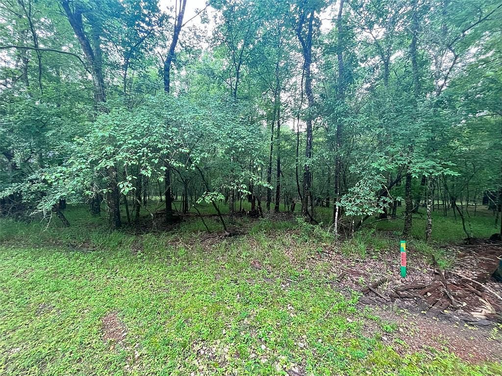 74 S Royale Greens Dr LOT 40 Coldspring, TX 77331 - Thumbnail 4
