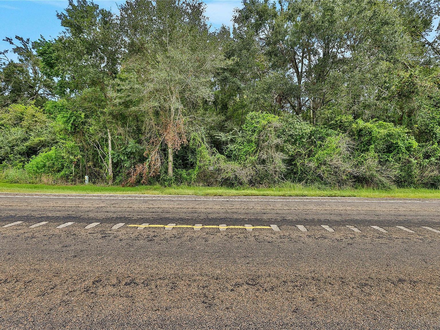 Highway 156 Coldspring, TX 77331 - Thumbnail 4