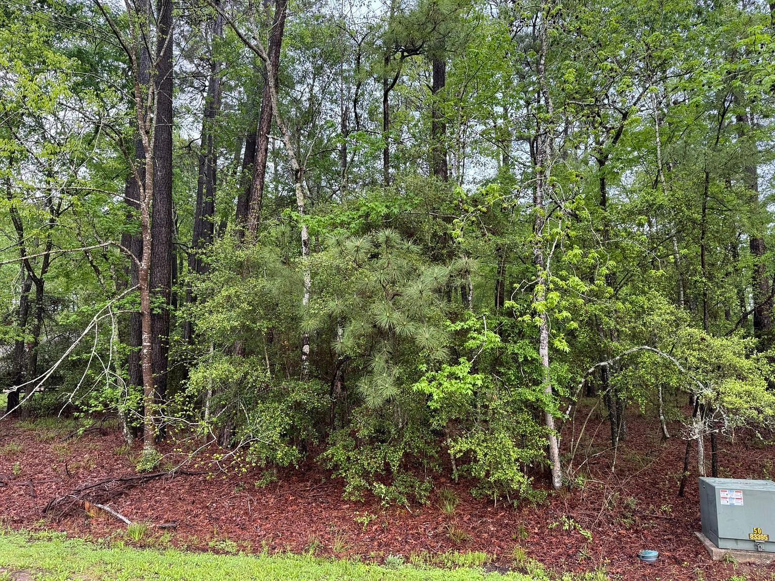 10 Wentworth Ln LOT 33 Coldspring, TX 77331 - Thumbnail 4