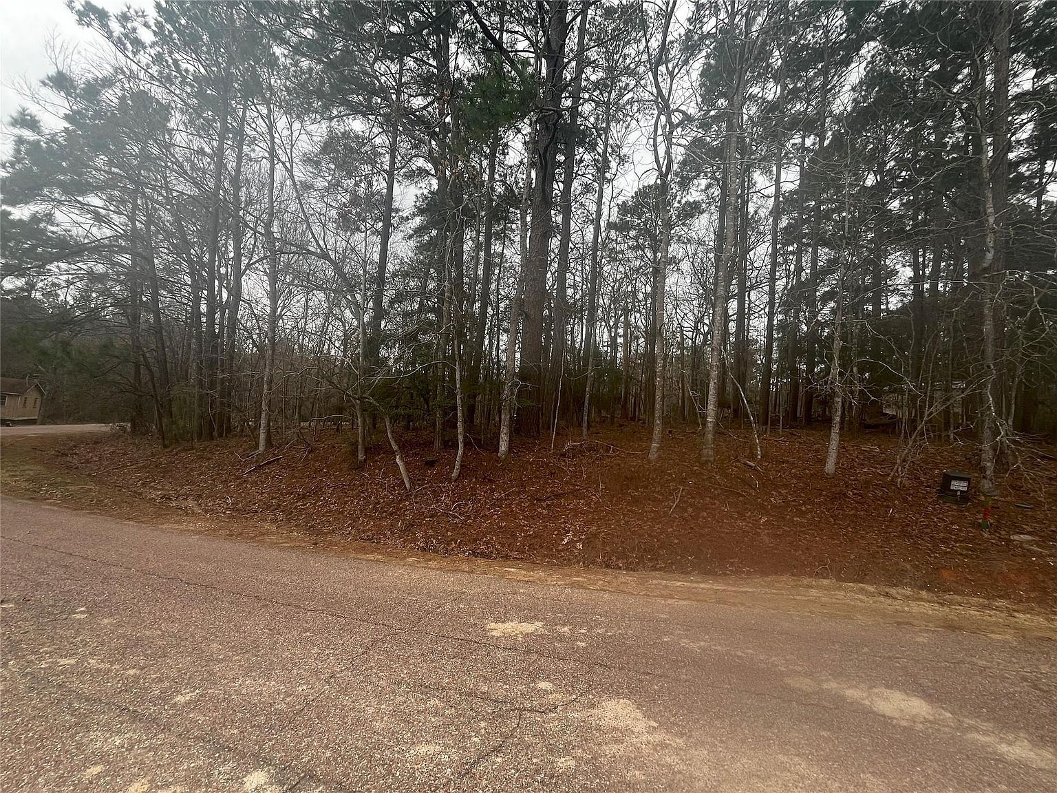 101 S Royale Greens Dr LOT 11 Coldspring, TX 77331 - Thumbnail 4