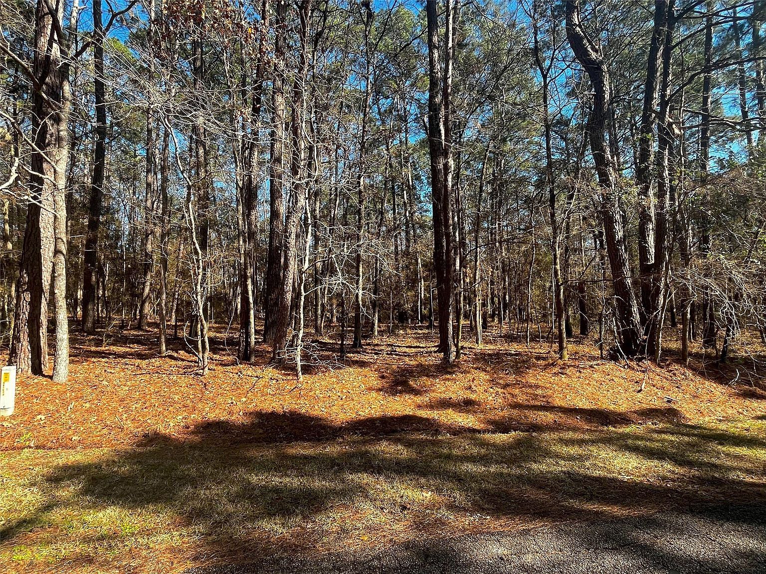 55 Green Tree Dr LOT 13 Coldspring, TX 77331 - Thumbnail 4