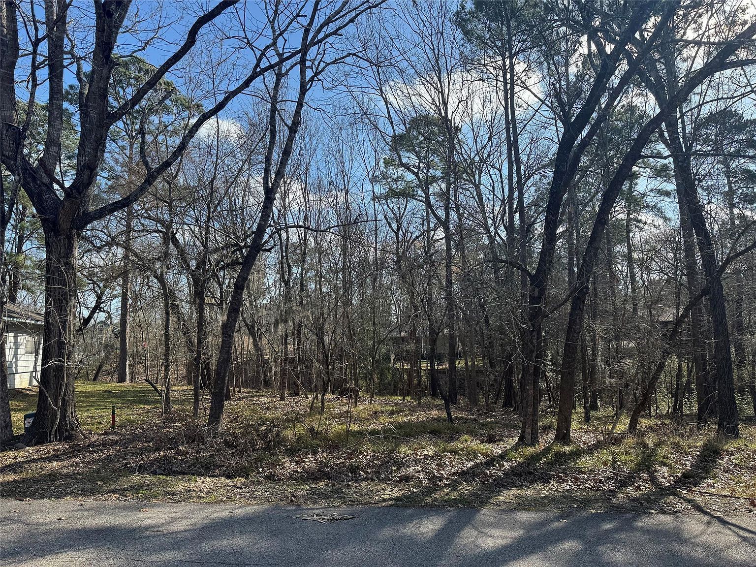 11 & 15 S Pine Harbour Dr Coldspring, TX 77331 - Thumbnail 4