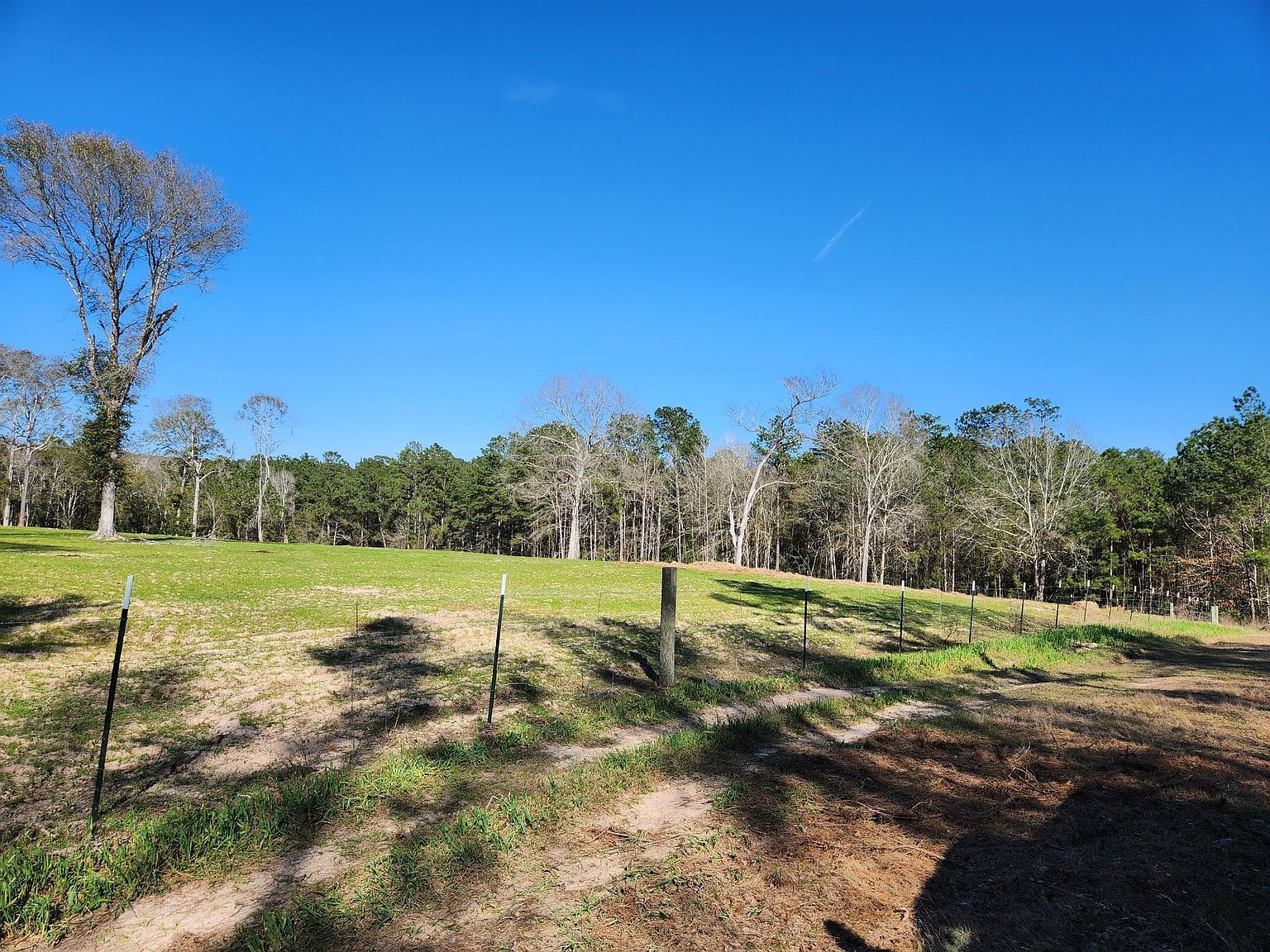 Blakely Ln LOT 24 Cleveland, TX 77328 - Thumbnail 4