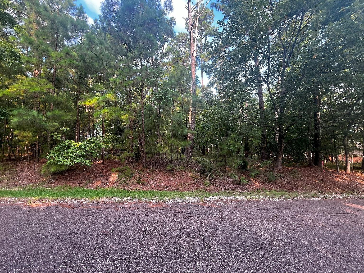 18 S Royale Greens Dr LOT 25 Coldspring, TX 77331 - Thumbnail 4