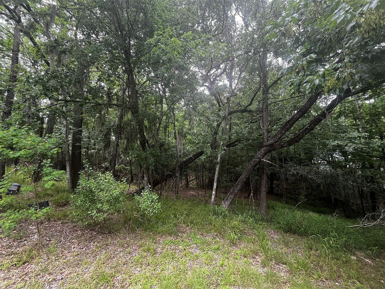 18 Timberon Ln LOT 95 Coldspring, TX 77331 - Thumbnail 4