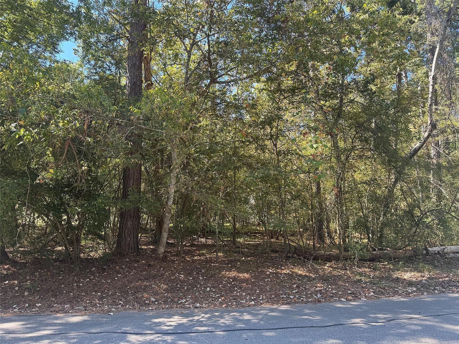 176 N Fairway Loop Coldspring, TX 77331 - Thumbnail 4