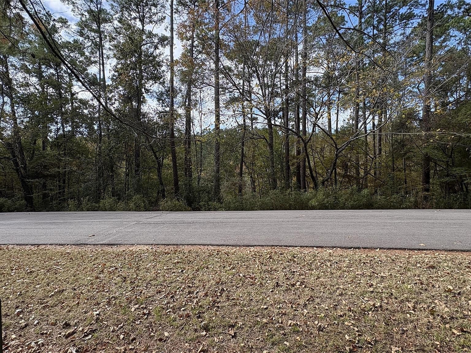 103 Green Tree Dr LOT 23 Coldspring, TX 77331 - Thumbnail 4