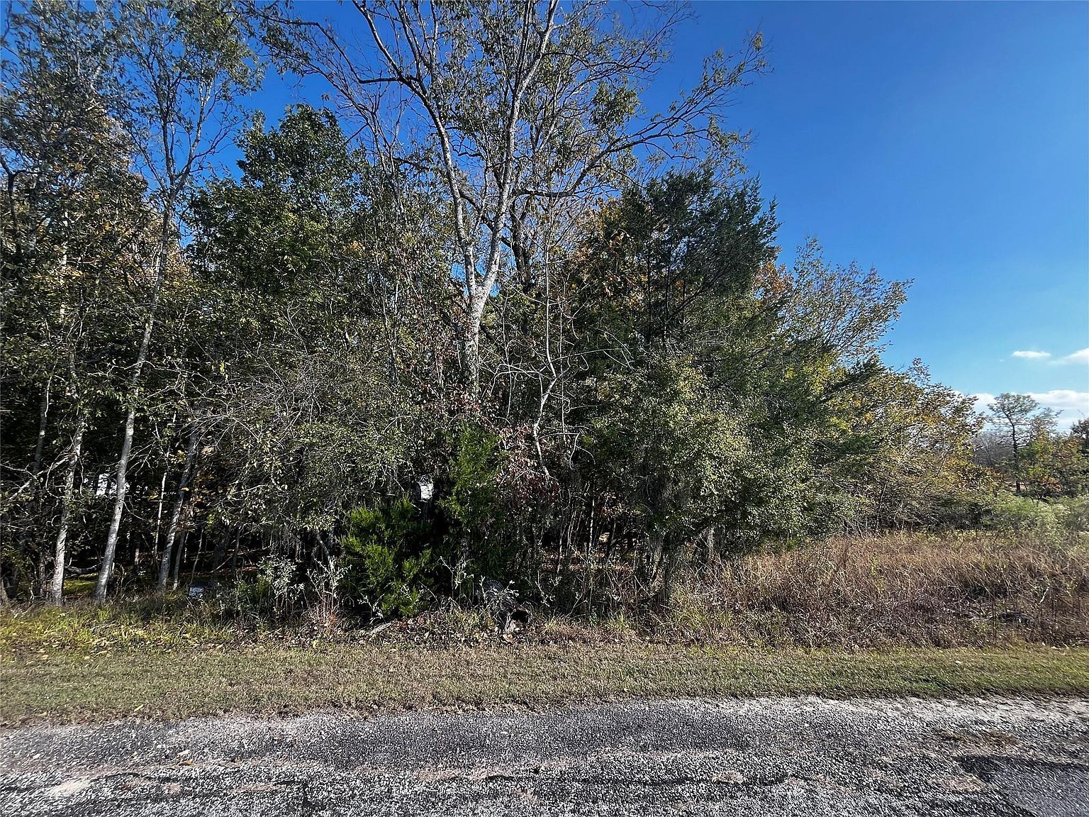 165 N Pine Harbour Dr LOT 85 Coldspring, TX 77331 - Thumbnail 4