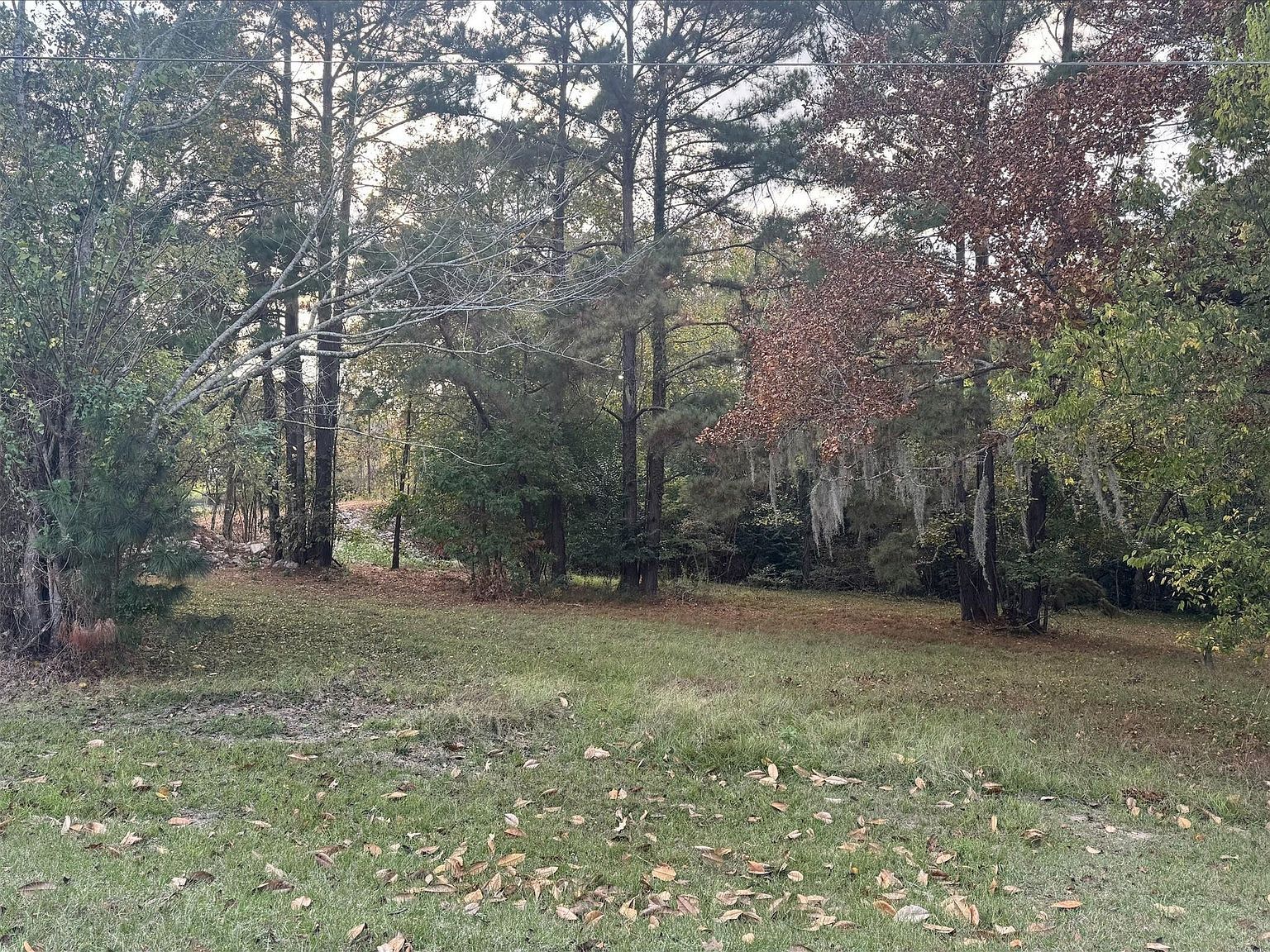 0 Silver Hickory Dr LOT 216 Coldspring, TX 77331 - Thumbnail 4