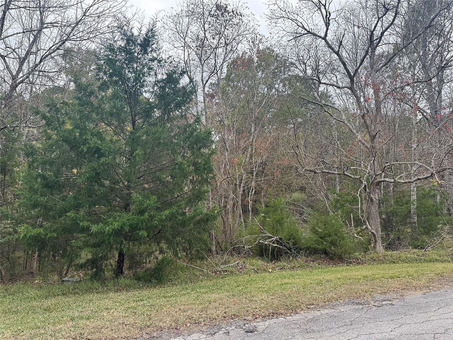 22 S Forest Cove Loop Coldspring, TX 77331 - Thumbnail 4
