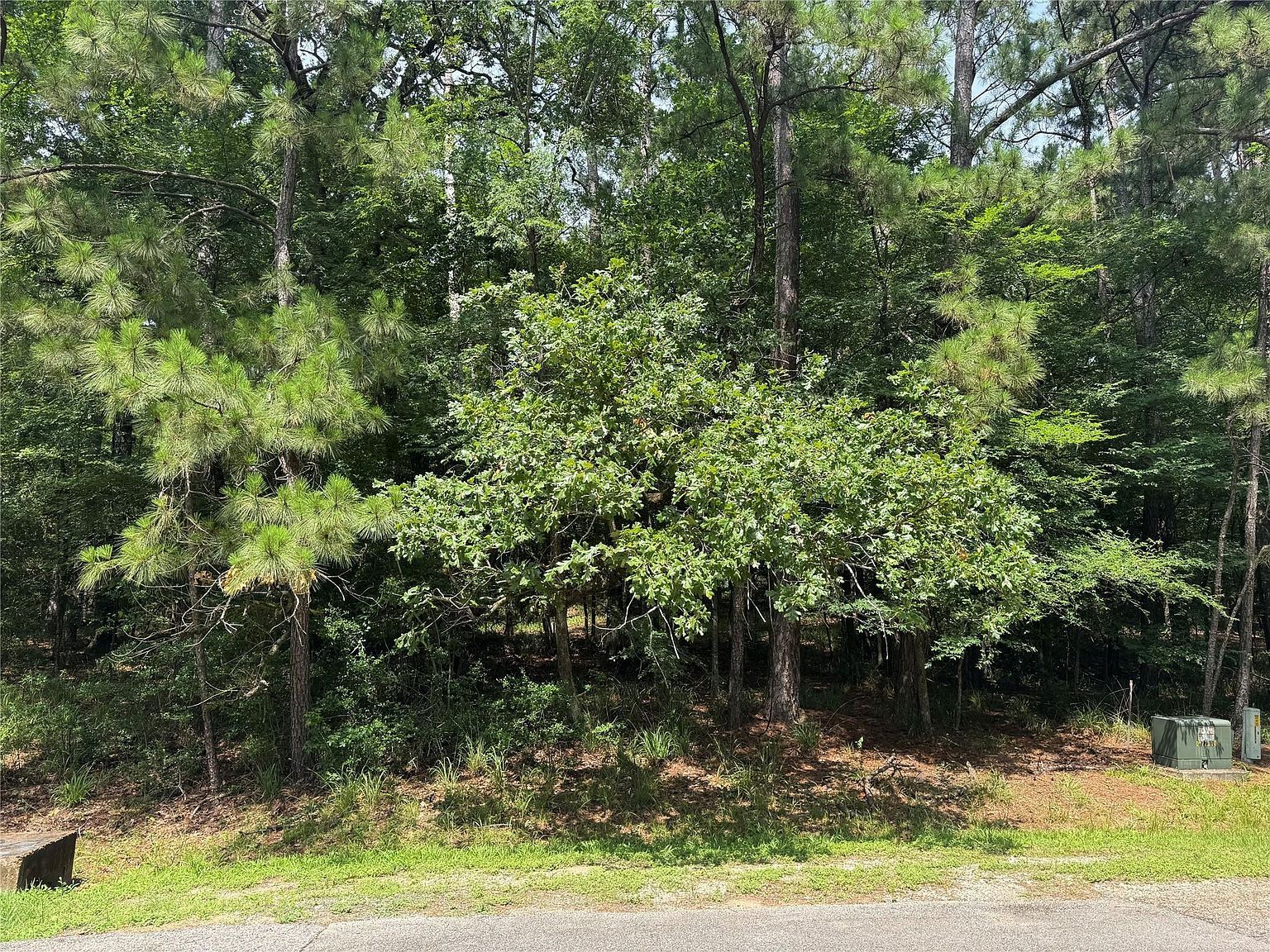 75 Green Tree Dr LOT 17 Coldspring, TX 77331 - Thumbnail 4