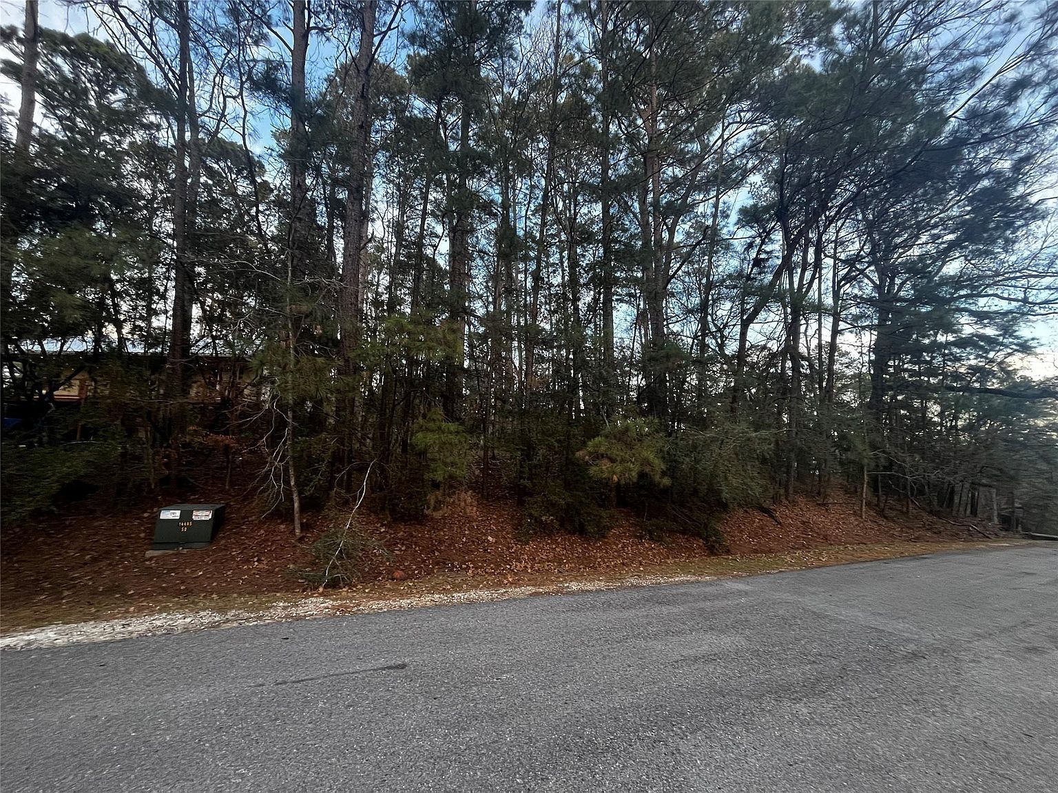 26 Sunny Hill Dr LOT 11 Coldspring, TX 77331 - Thumbnail 4