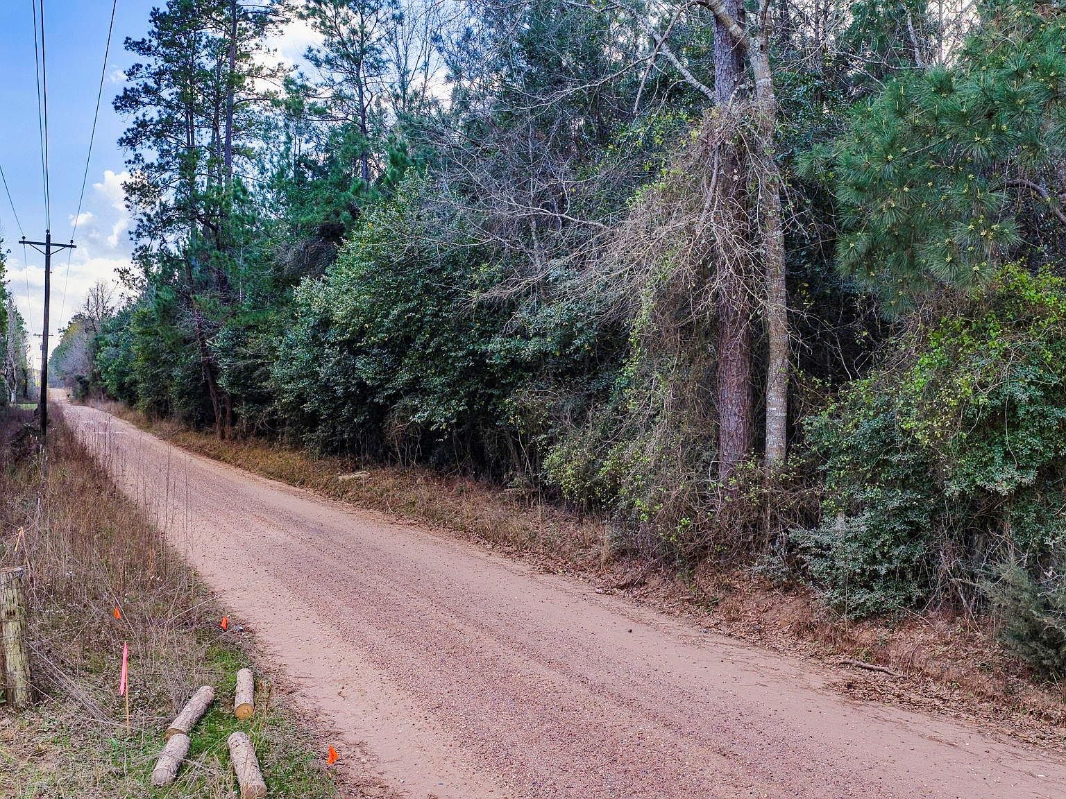 1 Holly Grove Rd Livingston, TX 77351 - Thumbnail 4