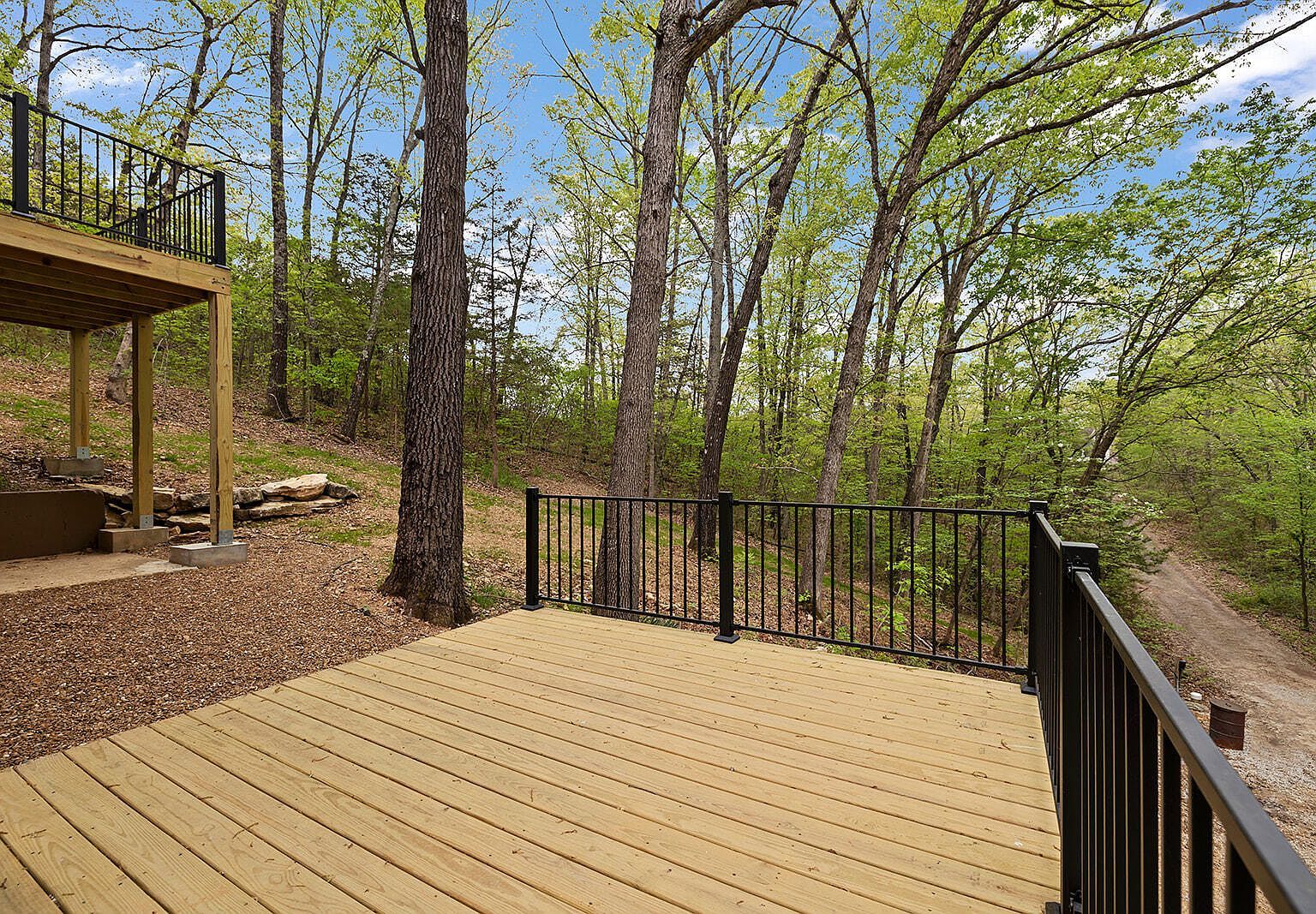 303 Susannah Ln Lampe, MO 65681 - Thumbnail 4