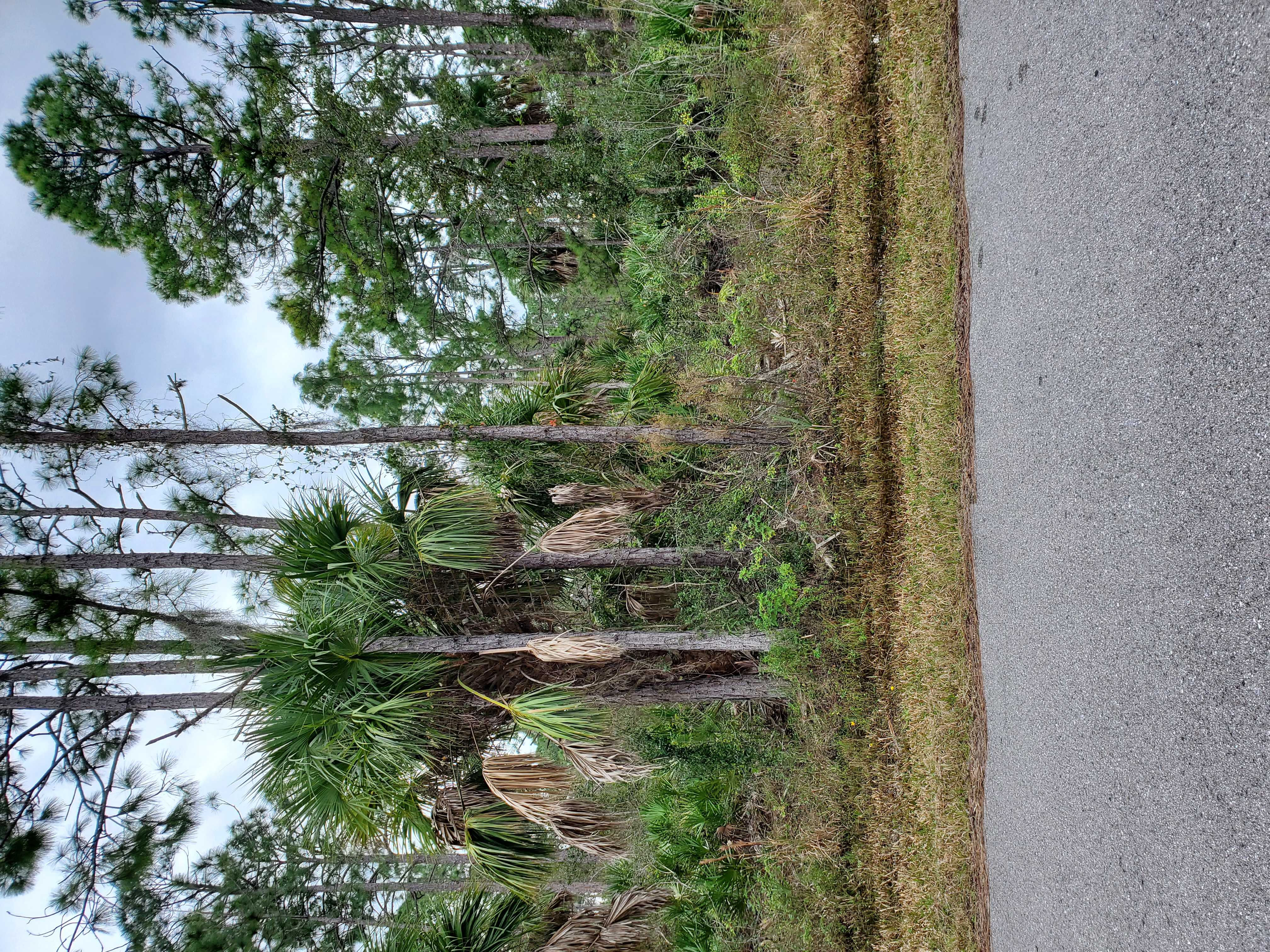 13361 Johannes Ave, Port Charlotte, FL, USA, 33953 - Thumbnail 4