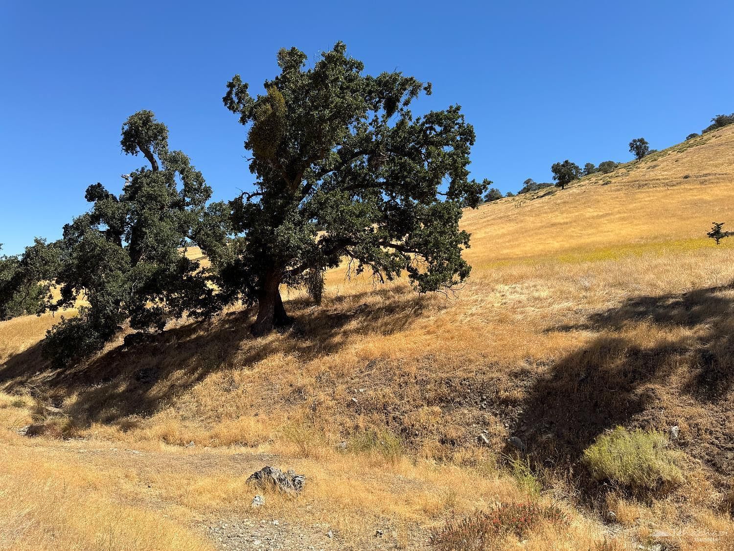0 Arosa Rd LOT 7 Tehachapi, CA 93561 - Thumbnail 4